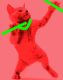 Chats